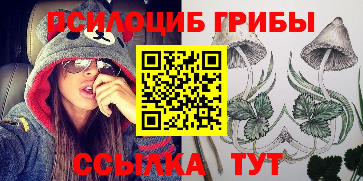 Алейск  Псилоцибиновые грибы прущие грибы  Вход с VPN 